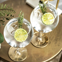 Copa de Balon Spanish Gin Goblet Cocktail Glasses Gift Set of 2 – styled gift moment
