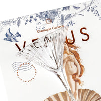 Venus Seashell Martini Cocktail Glasses Set of 2 – close-up of the fluted bowl against the box front