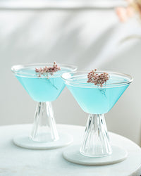 Modern Martini Cocktail Glasses Gift Set of 4 – styled gift moment