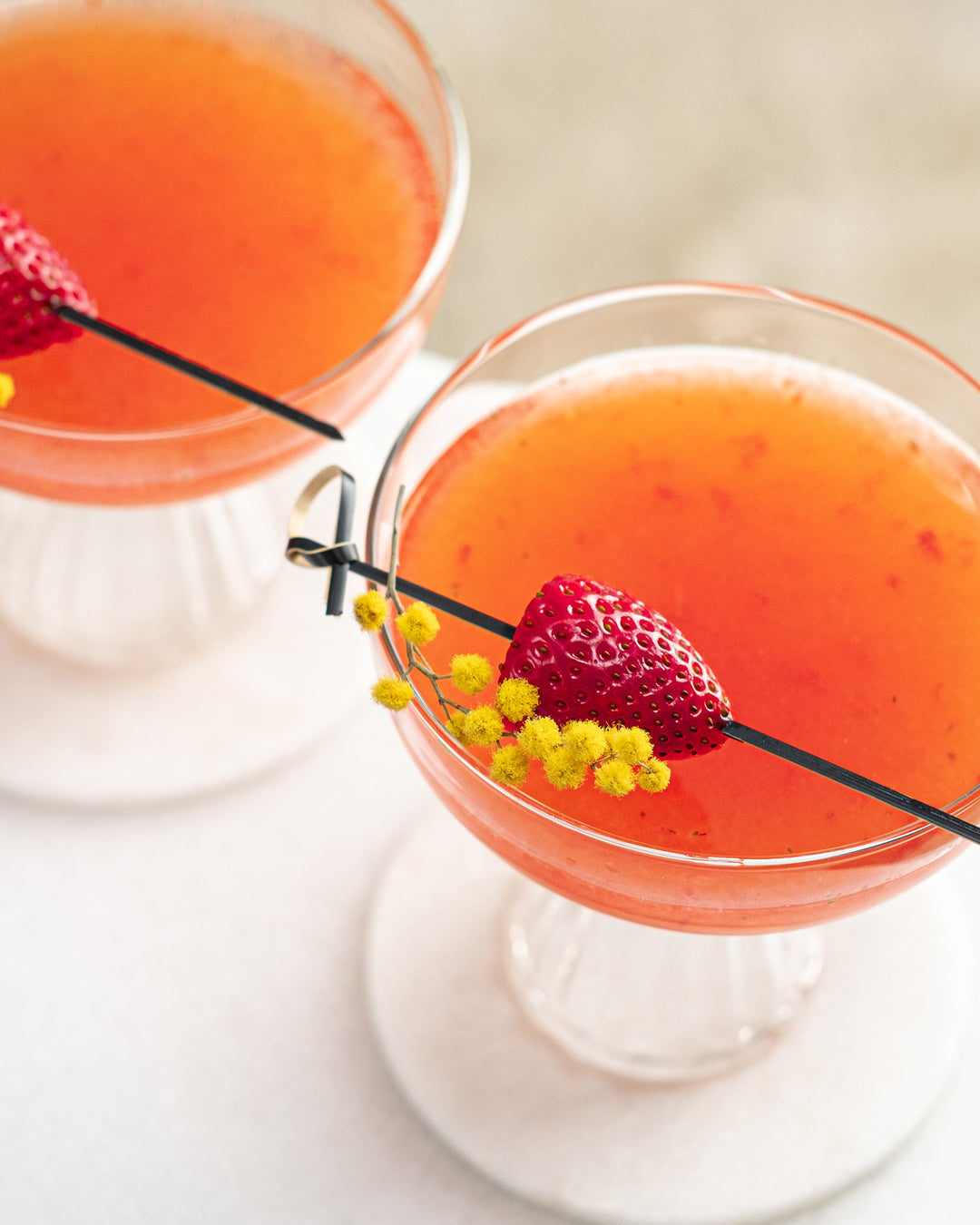 Paris Coupe Cocktail and Champagne Glasses | Set of 4 | 8 oz