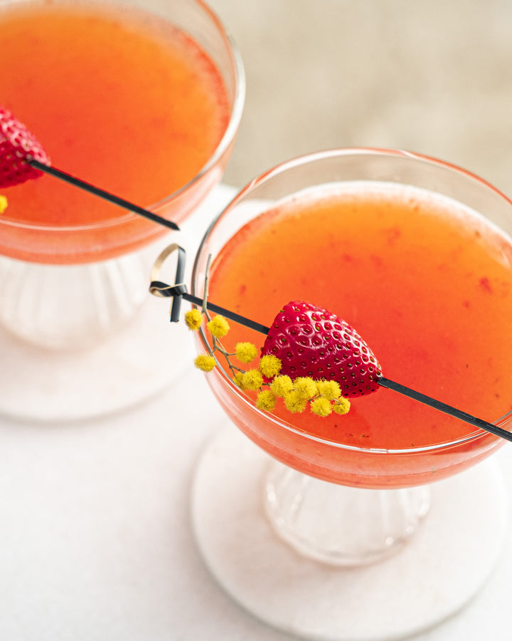 Paris Coupe Cocktail and Champagne Glasses | Set of 4 | 8 oz
