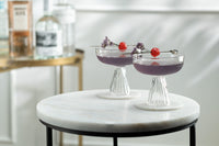 Paris Modern Coupe Cocktail and Champagne Glasses Gift Set of 4 – packaging unboxing detail