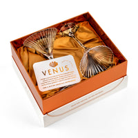 Venus Seashell Martini Cocktail Glasses Set of 2 – two glasses nested in the satin-lined box with story card