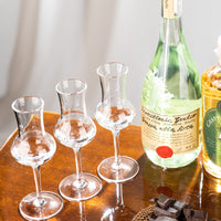 Long Stem Grappa Aromatic Spirits Snifter Glasses Gift Set of 6 – hosting and entertaining detail