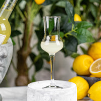 Italian Limoncello Liqueur Cordial Glasses Gift Set of 4 – styled gift moment