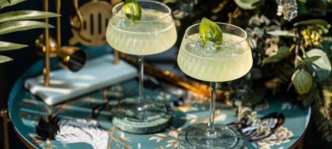 Two pale green daiquiris in ribbed coupe glasses with a lime garnish among tropical greenery