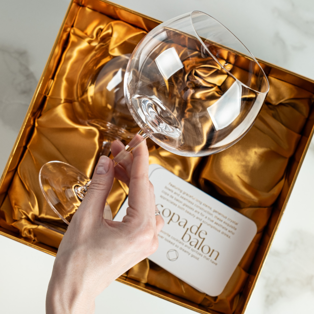 Copa de Balon Gin Goblet Cocktail Glasses