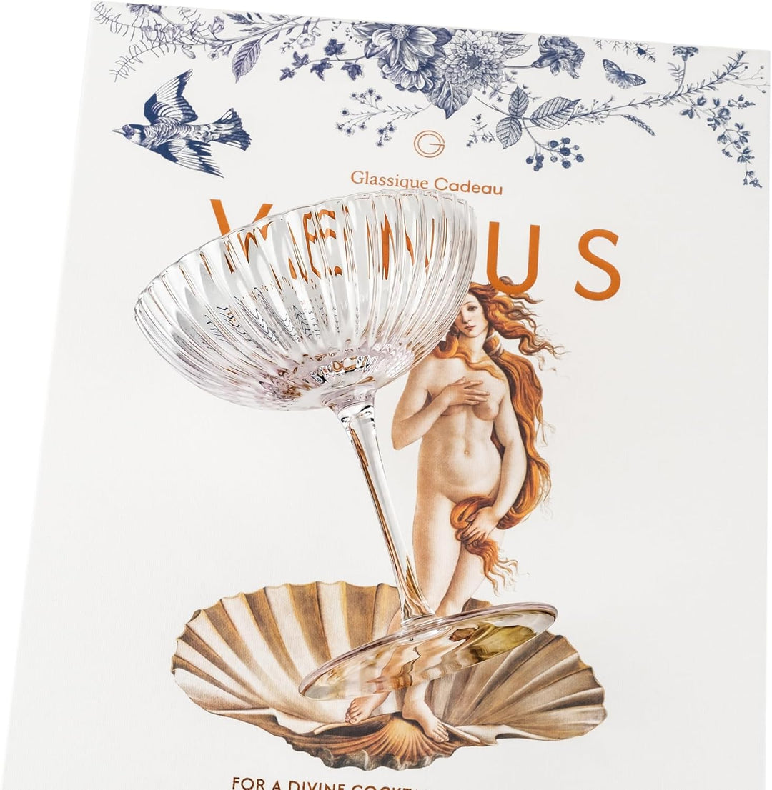 Venus Seashell Coupe Cocktail Glasses | Set of 4 | 8 oz