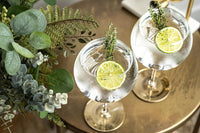 Copa de Balon Spanish Gin Goblet Cocktail Glasses Gift Set of 2 – styled gift moment