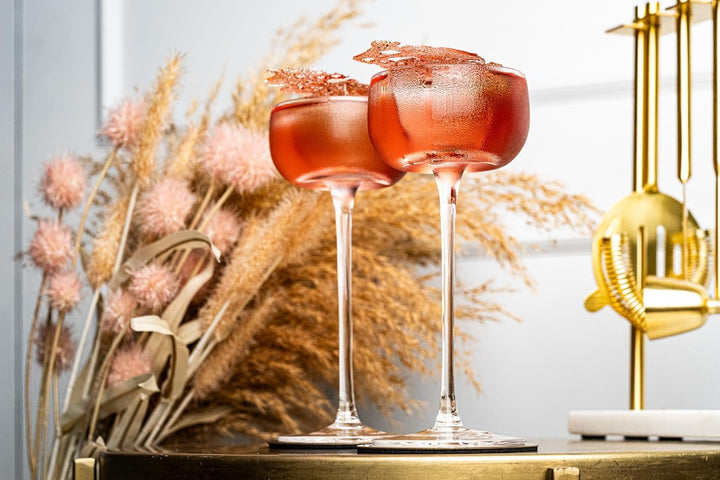 Nick and Nora Coupe Cocktail Glasses | Set of 4 | 5 oz