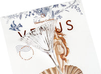 Venus Seashell Martini Cocktail Glasses