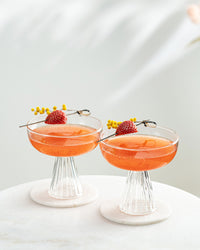 Paris Modern Coupe Cocktail and Champagne Glasses Gift Set of 4 – set scale and proportions