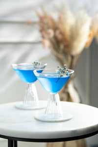 Modern Martini Cocktail Glasses Gift Set of 4 – set scale and proportions
