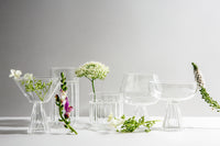 Venice Goblet Cocktail Glasses