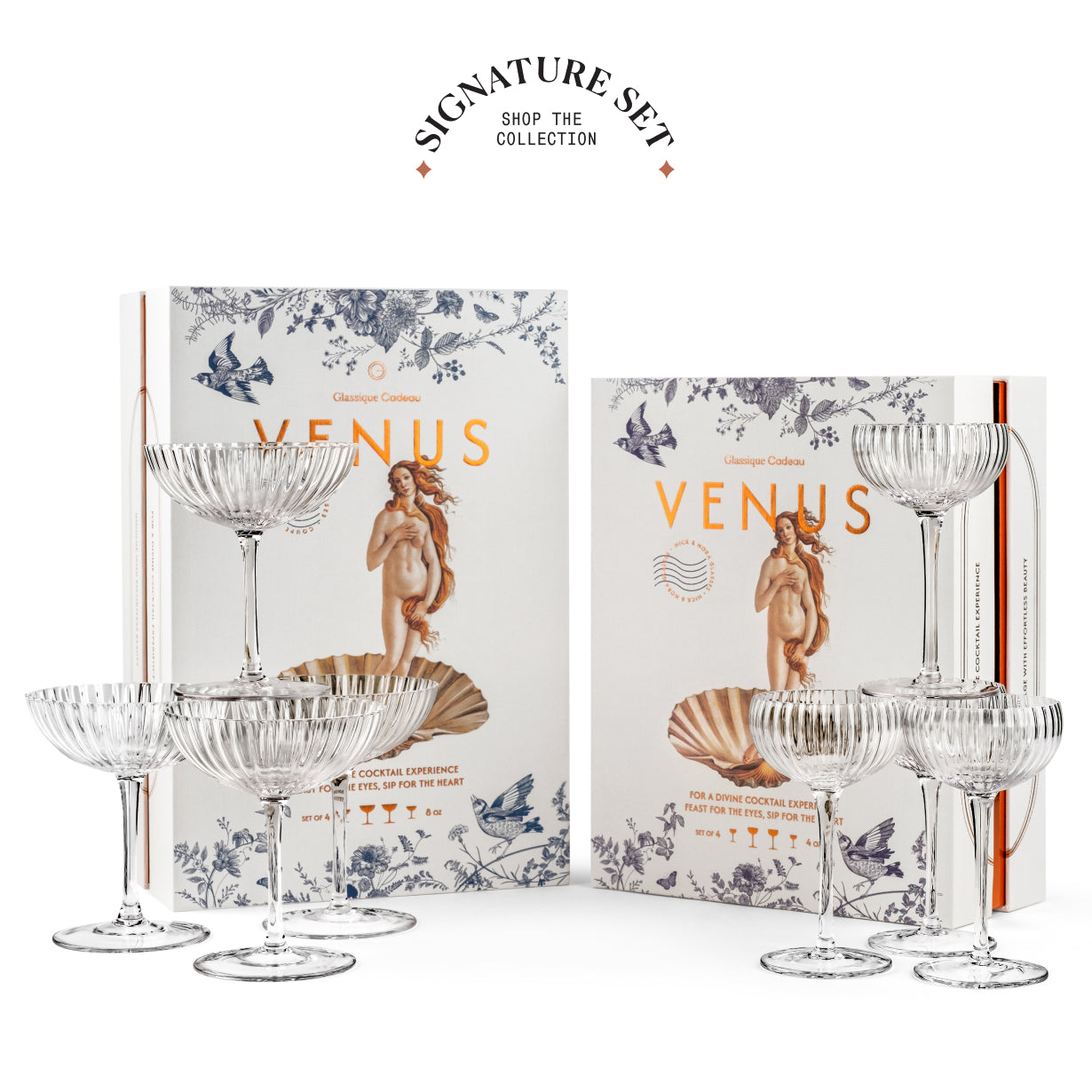 Venus Seashell Coupe Cocktail Glasses
