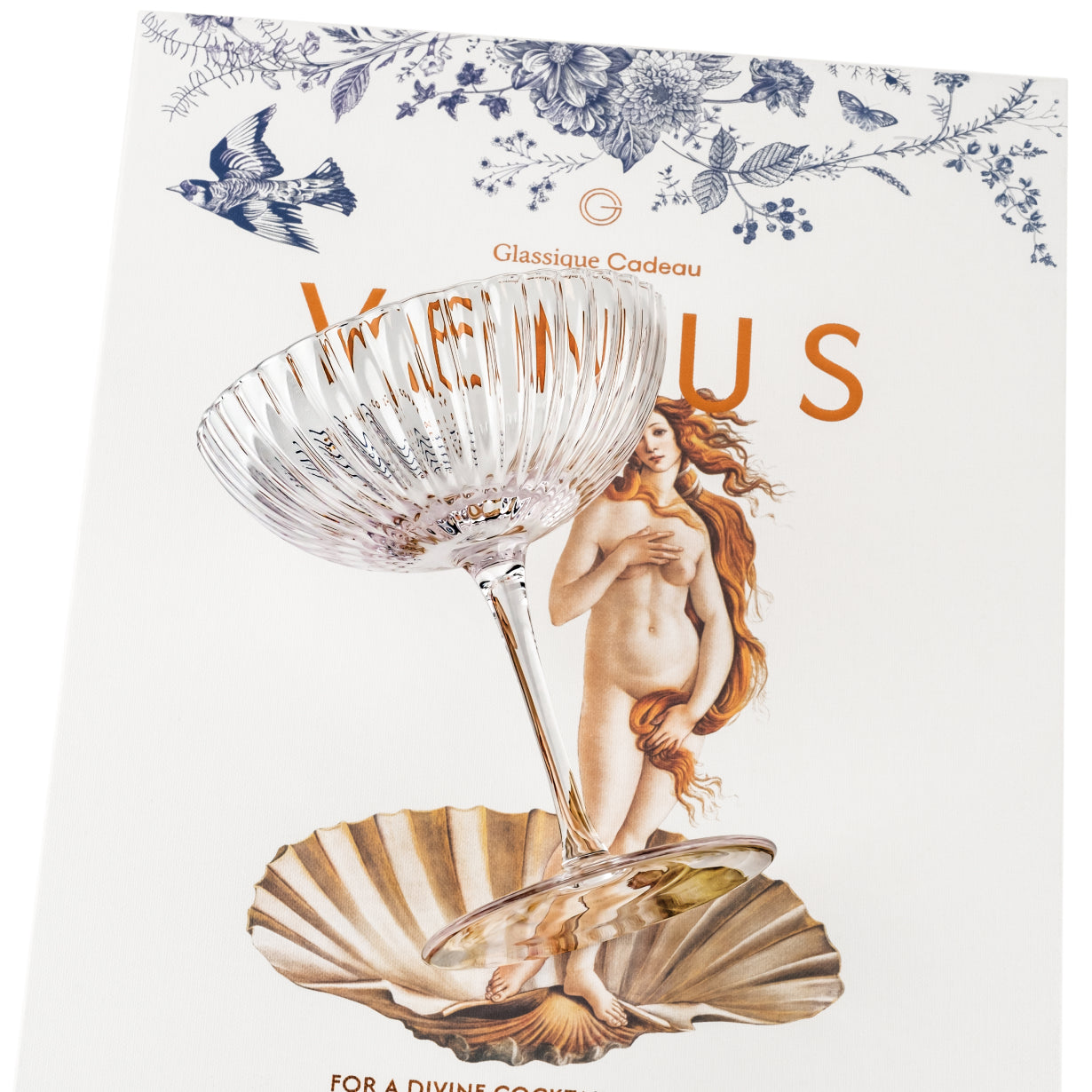 Venus Seashell Coupe Cocktail Glasses