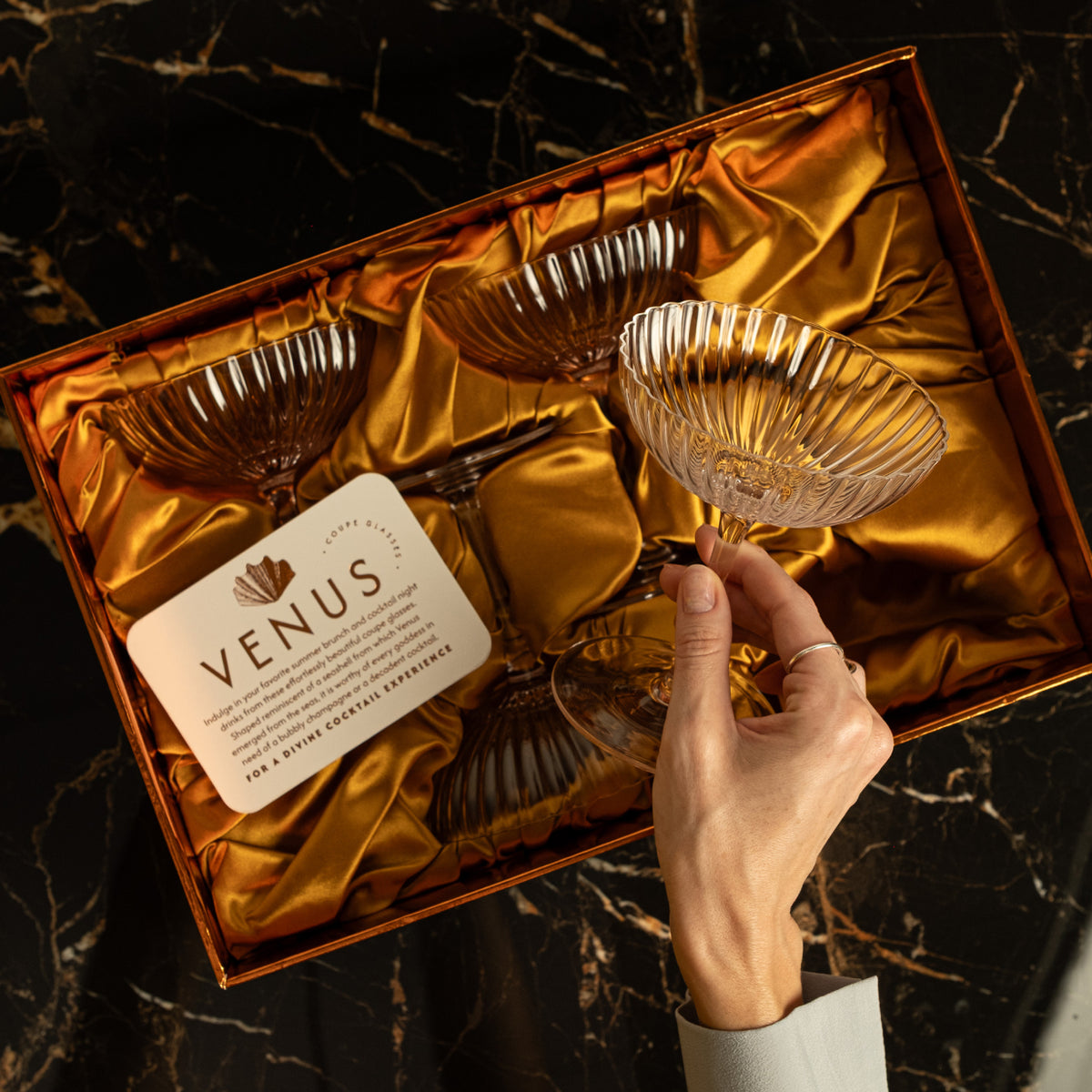 Venus Seashell Coupe Cocktail Glasses