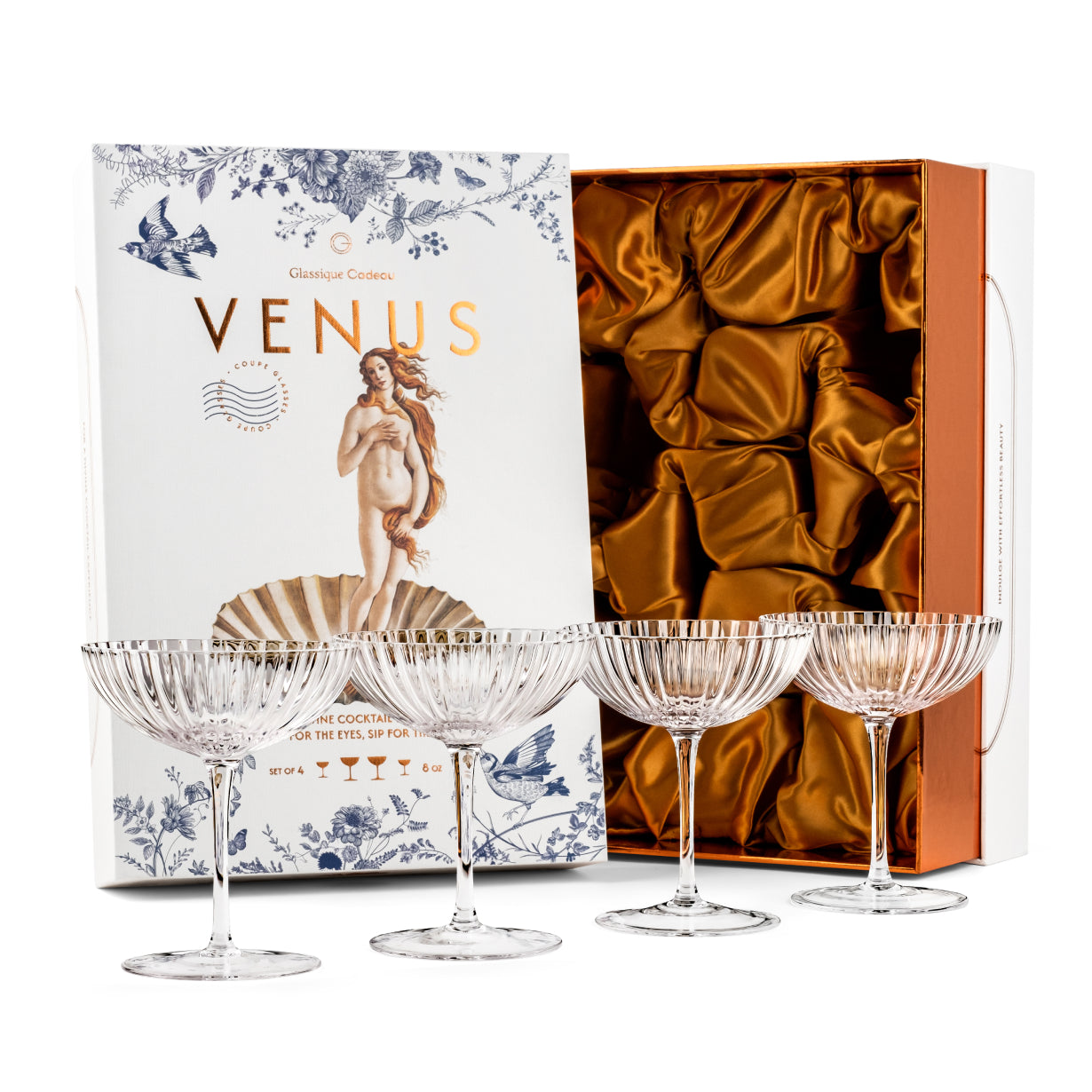 Venus Seashell Coupe Cocktail Glasses