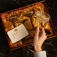Venus Nick and Nora Cocktail Glasses