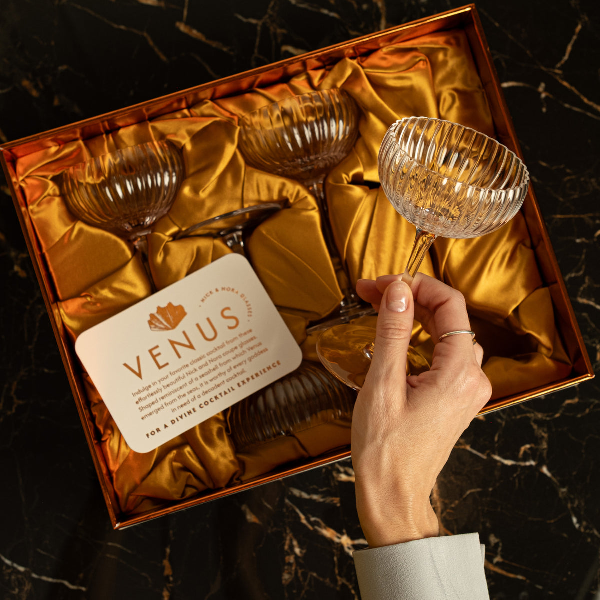 Venus Nick and Nora Cocktail Glasses