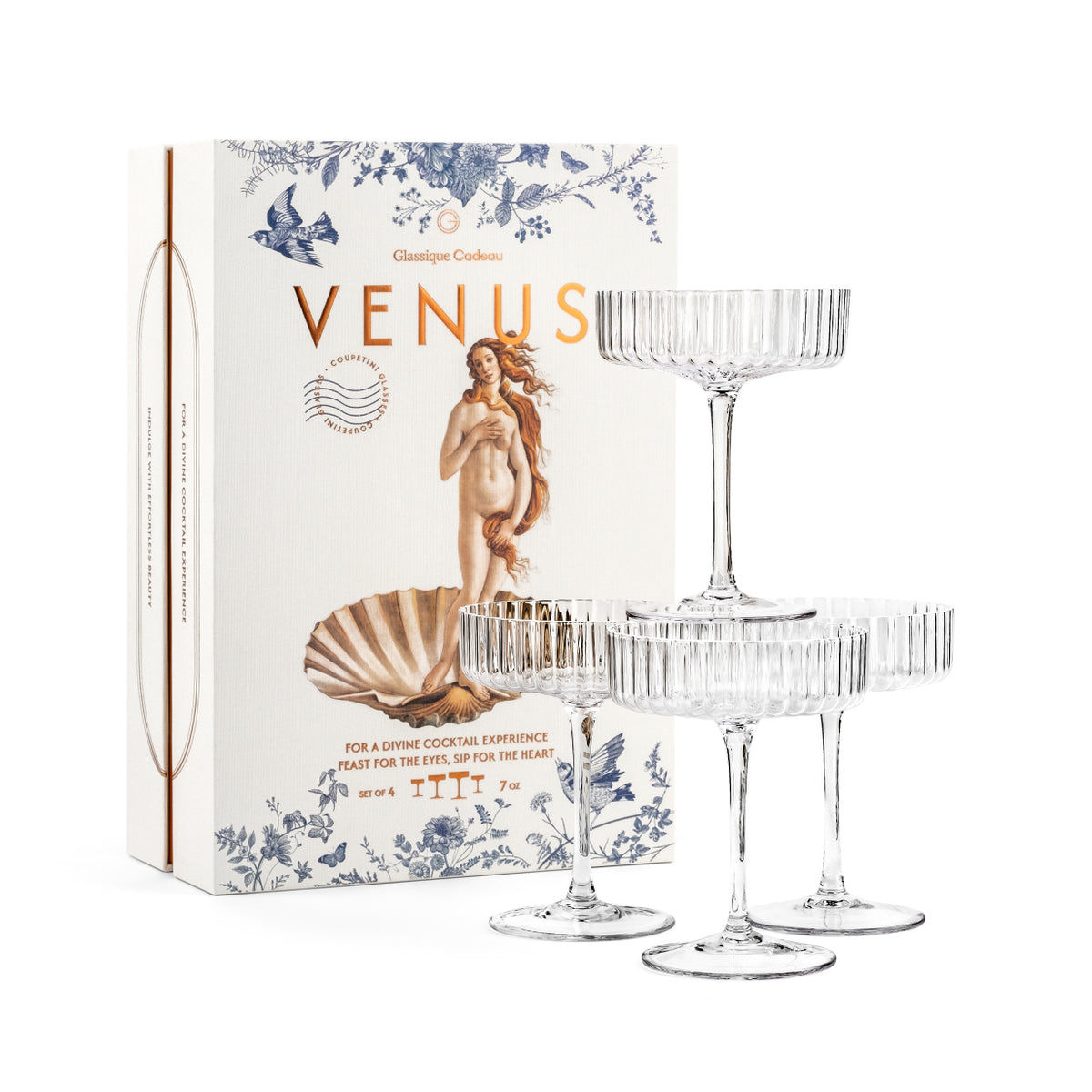 Venus Seashell Coupetini Cocktail Glasses Set of 4 – four 7 oz ribbed crystal coupetinis beside the Venus box