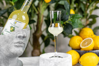 Italian Limoncello Liqueur Cordial Glasses Gift Set of 4 – styled gift moment