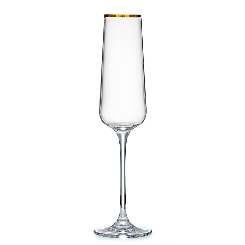 Gold Rimmed Champagne Glasses | Set of 2 | 9 oz
